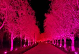 吉木薩爾天地園光影秀亮化項目