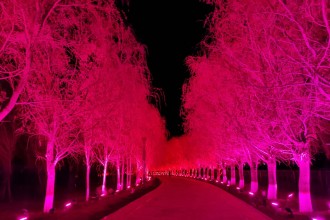 吉木薩爾天地園光影秀亮化項(xiàng)目